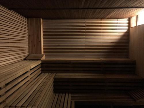 hotel sauna koldum litvinov 10